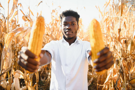 African Farmer stand in the corn plantation field