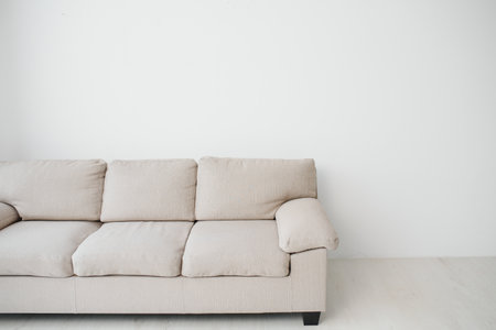 Gray comfortable sofa against white wall in the roomの写真素材