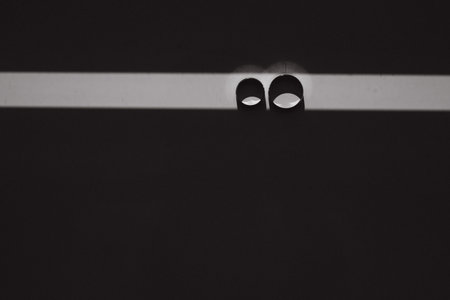 Elegant wedding rings for the bride and groom on a black background with highlights, macro, selective focusの写真素材