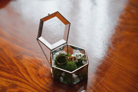 Elegant wedding rings for the bride and groom on a black background with highlights, macro, selective focusの写真素材