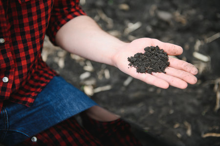 Farmer's hands hold a handful of fertile soil. The concept of agriculture, agribusiness. The gardener holds humus, fertilized soil, compost soil in his palms. Agriculture and fertilityの写真素材