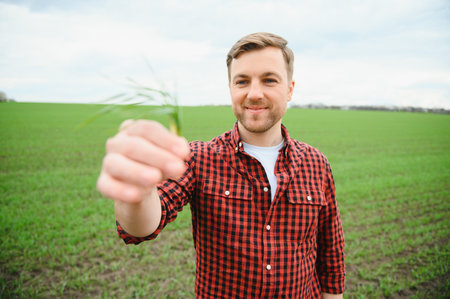 Young farmer stands in the green field checking and waiting for harvest to growの写真素材