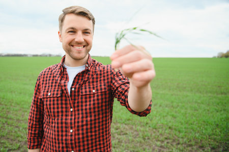 Young farmer stands in the green field checking and waiting for harvest to growの写真素材