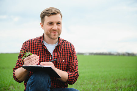 A young farmer inspects the quality of wheat sprouts in the field. The concept of agriculture.の写真素材