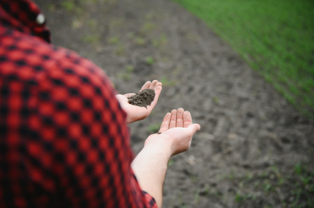 Farmer's hands hold a handful of fertile soil. The concept of agriculture, agribusiness. The gardener holds humus, fertilized soil, compost soil in his palms. Agriculture and fertilityの写真素材