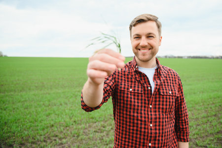 A young farmer inspects the quality of wheat sprouts in the field. The concept of agriculture.の写真素材