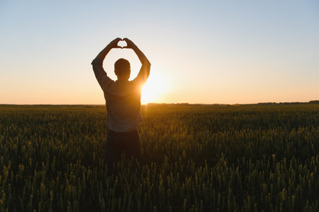 Sunrise or sunset picture of guy with raised hands looking at sun and enjoying daytime. Adult man stand alone in the middle of ripe wheat field. Farmer or agricultural guy.の写真素材