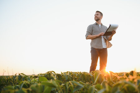 A farmer inspects a green soybean field. The concept of the harvest.