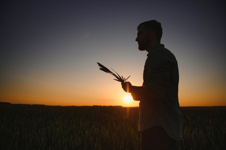 Happy agronomist is standing in his growing barley field and examining crops after successful sowing