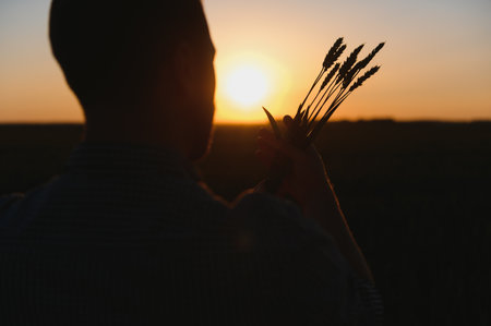 silhouette of man looking at beautiful landscape in a field at sunsetの写真素材