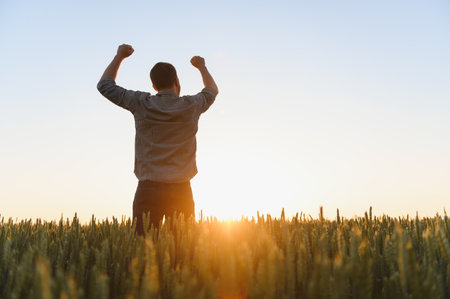 Farmer in wheat field planning harvest activity, female agronomist looking at sunset on the horizonの写真素材