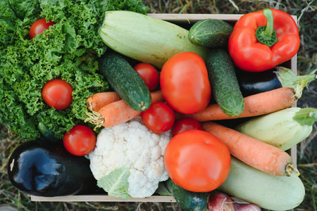 Freshly harvested vegetables in wooden box on grass. Local farm organic vegetable. Gardening,...