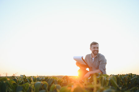 farmer agronomist in soybean field checking crops. Organic food production and cultivation