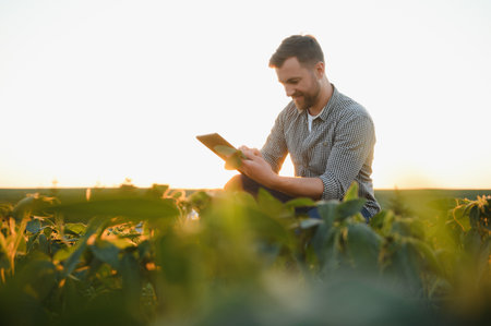 Agronomist inspecting soya bean crops growing in the farm field. agriculture production concept. young agronomist examines soybean crop on field in summer. Farmer on soybean fieldの写真素材