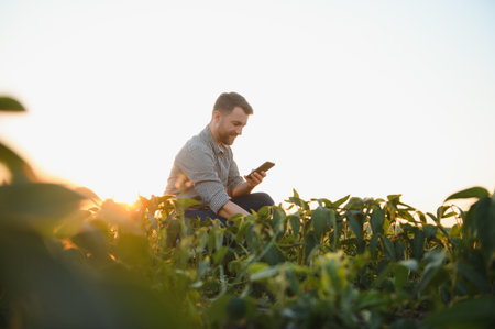 Young farmer in soybean fields.の写真素材
