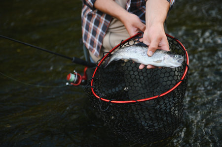 Fisherman picking up big rainbow trout from his fishing net.