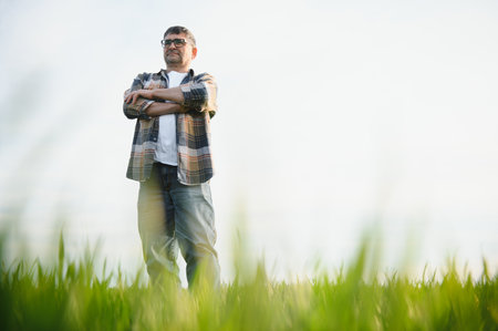 Portrait of senior farmer standing in green wheat fieldの写真素材