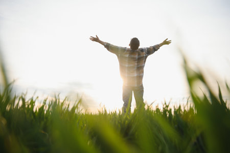 Portrait of senior farmer standing in green wheat fieldの写真素材