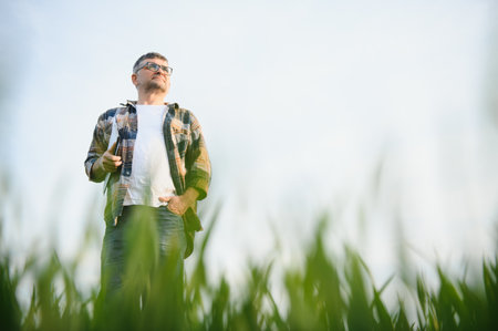 A young farmer inspects the quality of wheat sprouts in the field. The concept of agricultureの写真素材