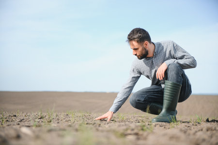 Male hands touching soil on the field. Expert hand of farmer checking soil health before growth a seed of vegetable or plant seedling. business or ecology conceptの写真素材