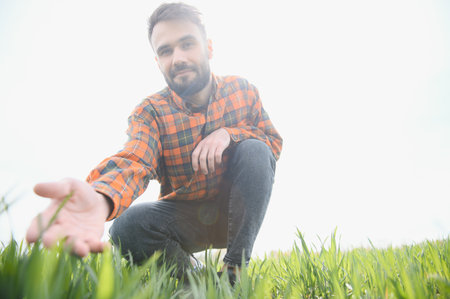 Portrait of farmer in wheat field. A handsome farmer or agronomist is working in the field.