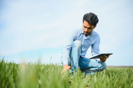 An Asian farmer stands in a rice fieldの写真素材