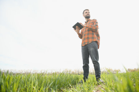 A young farmer inspects the quality of wheat sprouts in the field. The concept of agricultureの写真素材