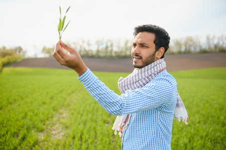 Portrait of young Indian Farmer wearing formal dress in green paddy fieldの写真素材