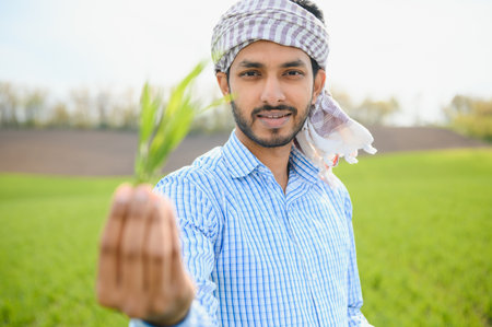 Portrait of young Indian Farmer wearing formal dress in green paddy fieldの写真素材