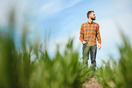 A young farmer inspects the quality of wheat sprouts in the field. The concept of agricultureの写真素材