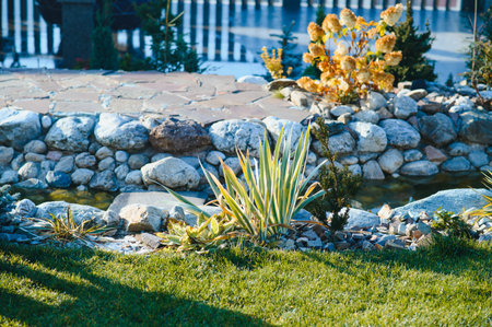 Coniferous rockery in landscaping. Different types of pine and spruce with different color needles.の写真素材