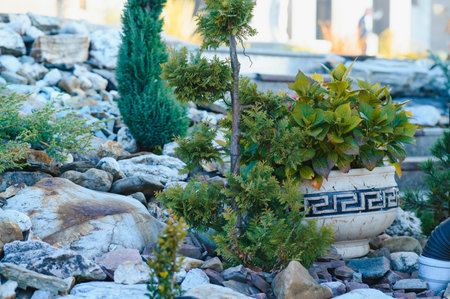 Backyard Garden Modern Design Landscaping. Landscaped Back Yard. Decorative Garden With Pathway Or Walkway From Stone And Rocks Or Gravel. Back Yard Or Park Lawn With Stony Natural landscapingの写真素材