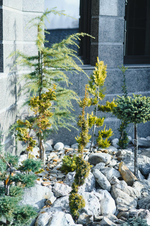 Backyard Garden Modern Design Landscaping. Landscaped Back Yard. Decorative Garden With Pathway Or Walkway From Stone And Rocks Or Gravel. Back Yard Or Park Lawn With Stony Natural landscapingの写真素材