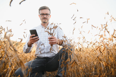 agronomist or farmer examining crop of soybeans field.