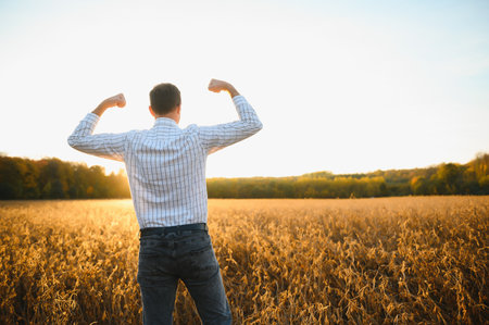 Portrait of farmer standing in soybean field examining crop at sunsetの写真素材