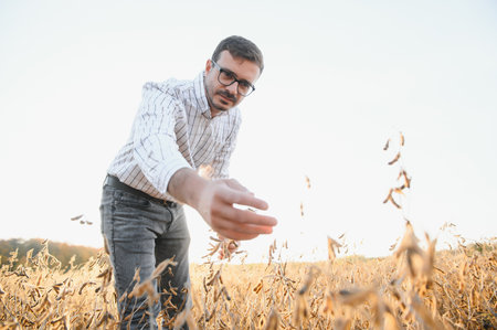 Agronomist inspects soybean crop in agricultural field - Agro concept - farmer in soybean plantation...