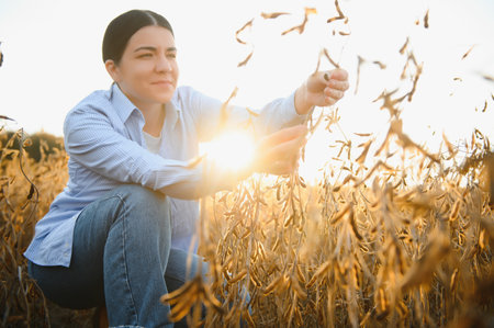 Young farmer woman standing in soy field in summer time, holding tablet and monitoring crop growth.の写真素材