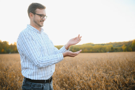 Agronomist inspects soybean crop in agricultural field - Agro concept - farmer in soybean plantation on farm.の写真素材