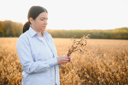 Young farmer woman standing in soy field in summer time, holding tablet and monitoring crop growth.の写真素材