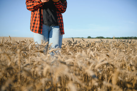 Farmer woman working in wheat field at sunset. Agronomist, farmer, business woman looks into tablet in wheat field. Modern technologists and gadgets in agriculture. business woman working in fieldの写真素材