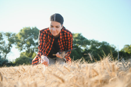 A woman farmer examines the field of cereals and sends data to the cloud from the tablet. Smart...