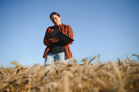 Farmer woman working in wheat field at sunset. Agronomist, farmer, business woman looks into tablet...
