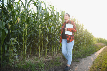 woman farmer in a field of corn cobs.
