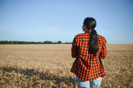Farmer woman working in wheat field at sunset. Agronomist, farmer, business woman looks into tablet in wheat field. Modern technologists and gadgets in agriculture. business woman working in fieldの写真素材