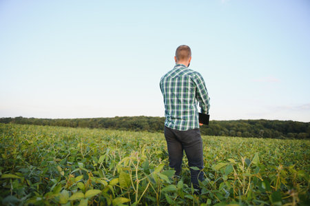 Agronomist inspects soybean crop in agricultural field - Agro concept - farmer in soybean plantation...