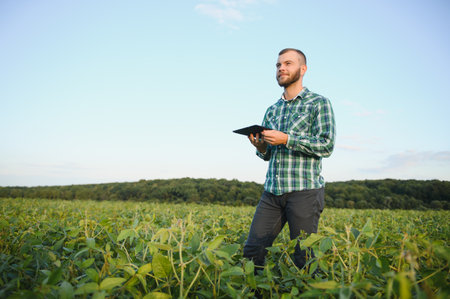 Young agronomist holds tablet touch pad computer in the soy field and examining crops before harvesting. Agribusiness concept. engineer engineer standing in a soy agricultural field with a tablet in summerの写真素材