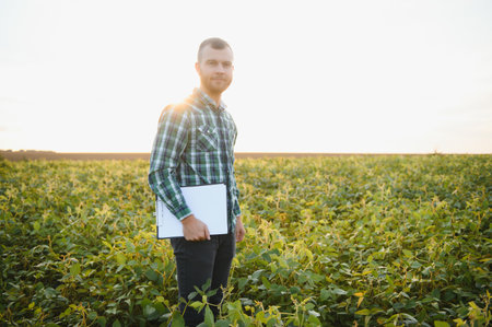 Farm worker controls development of soybean plants. Agronomist checking soya bean crops growing in the field.の写真素材