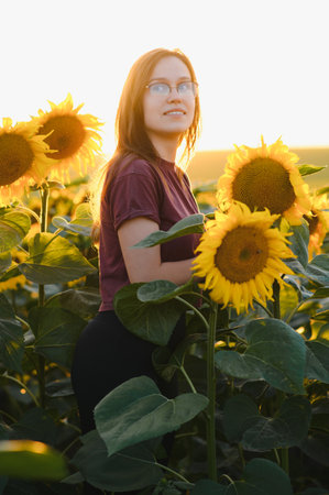 Beautiful young girl enjoying nature on the field of sunflowers at sunset.の写真素材