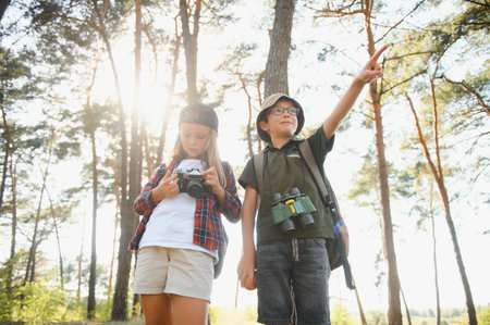 Group of curious happy school kids in casual clothes with backpacks exploring nature and forest together on sunny autumn dayの写真素材