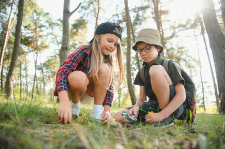 Two kids in casual clothes in exploring nature in forest together during school camping trip with magnifying glassの写真素材